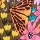 Flower Bug
