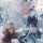 Underwater Blooms